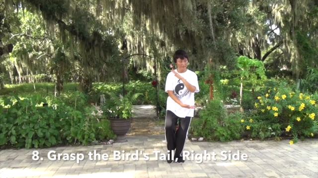 Easy-To-Learn Tai Chi Program (24 Steps, Yang Style) – Screenshot 2