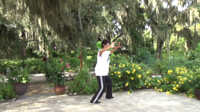 Easy-To-Learn Tai Chi Program (24 Steps, Yang Style) – Screenshot 4