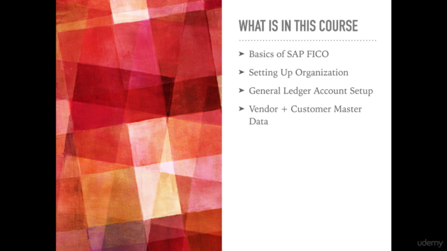 SAP FICO For Beginners - A Guide to SAP Financial Accounts – Screenshot 1