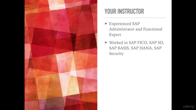 SAP FICO For Beginners - A Guide to SAP Financial Accounts – Screenshot 2