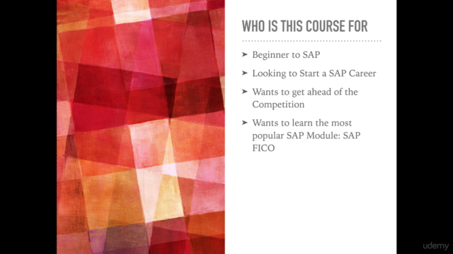 SAP FICO For Beginners - A Guide to SAP Financial Accounts – Screenshot 4