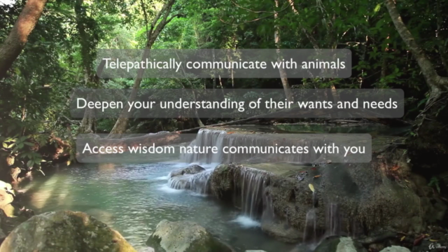 Learn To Communicate With Animals & Nature – Screenshot 3