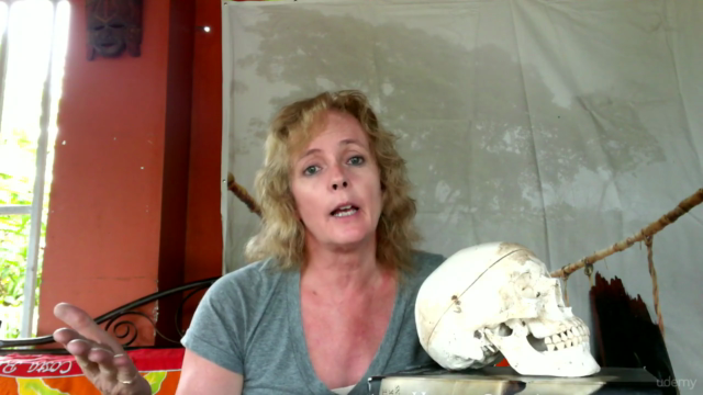 Forensic Anthropology - Skeletal analysis – Screenshot 1
