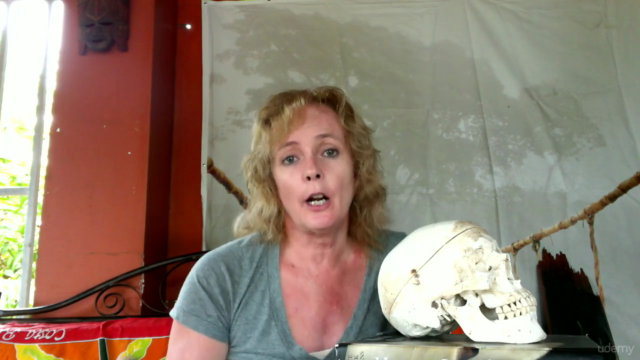 Forensic Anthropology - Skeletal analysis – Screenshot 2