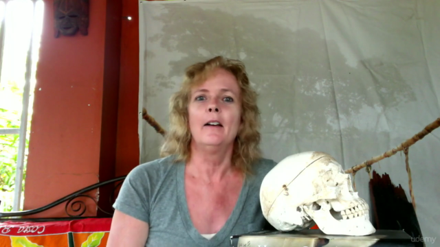 Forensic Anthropology - Skeletal analysis – Screenshot 4