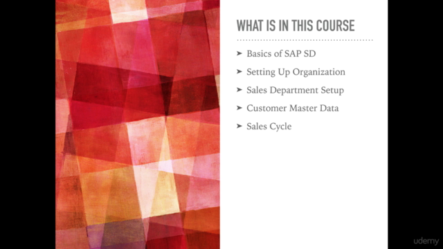 SAP SD for Beginners - Your Guide to SAP ERP Top SAP Module - Screenshot_01