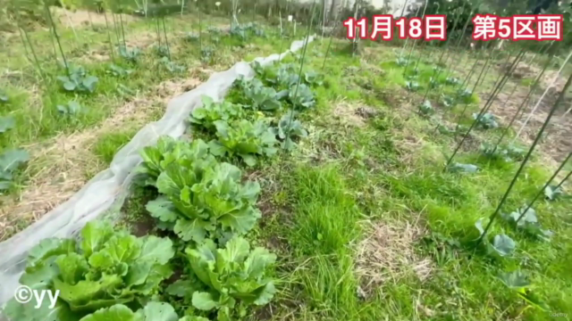 持続可能な農業　基礎編 - Screenshot_01