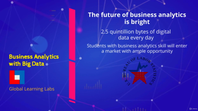Business Analytics with Big Data : A Complete Guide – Screenshot 3
