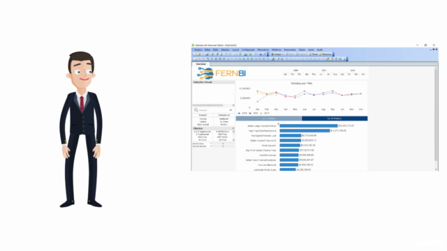 Desenvolvedor QlikView – Screenshot 2