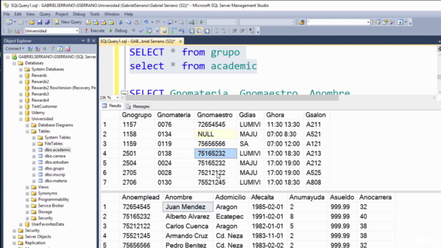 SQL Server: domina lo necesario para el trabajo – Screenshot 2