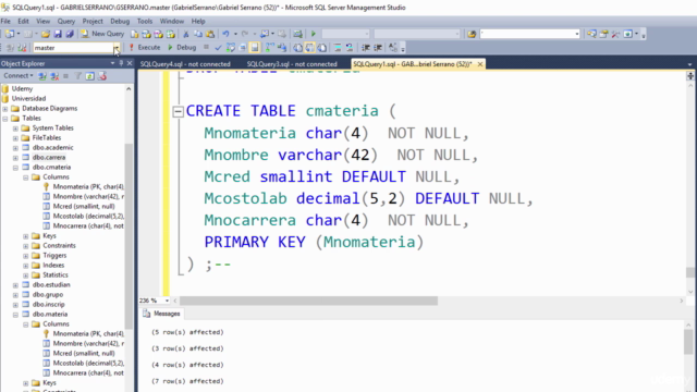 SQL Server: domina lo necesario para el trabajo – Screenshot 3