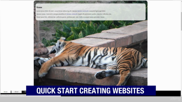 How to create Websites Build 10 Websites From Scratch – Screenshot 4