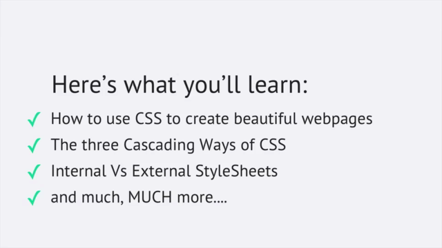 Crash Course: Fundamentals Of HTML & CSS From Scratch. – Screenshot 3