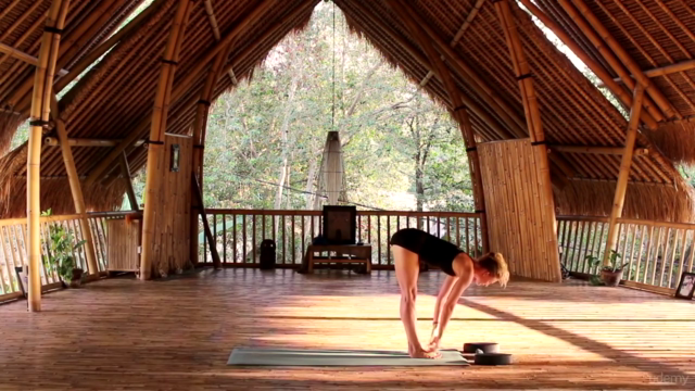 Learn Vinyasa Flow Yoga - Focus on Breathing and Energy - Screenshot_03