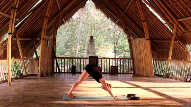 Learn Vinyasa Flow Yoga - Focus on Breathing and Energy - Screenshot_04