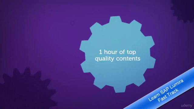 Learn SAP Lumira [Fast Track] – Screenshot 2