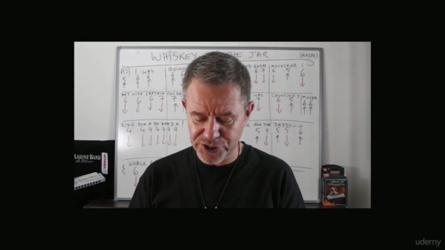 Instant Harmonica - play Whiskey in the Jar + Molly Malone! – Screenshot 2