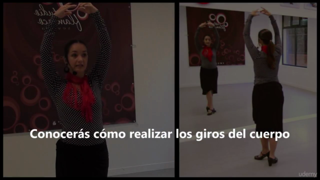Baile Flamenco - Técnica Básica – Screenshot 4