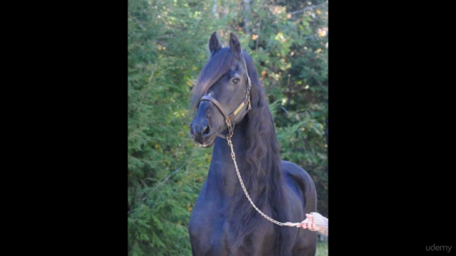 Paint a Detailed Magical Horse with Alcohol Inks on Yupo – Screenshot 2