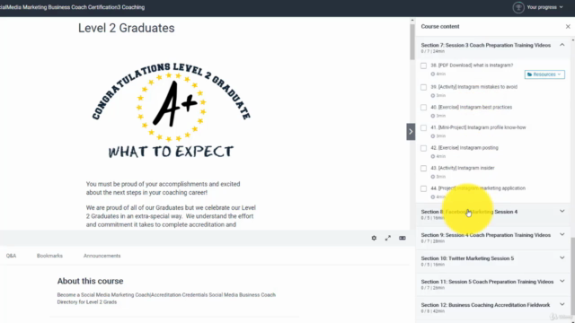 Social Media Marketing Business Coach Certification Coaching – Screenshot 3
