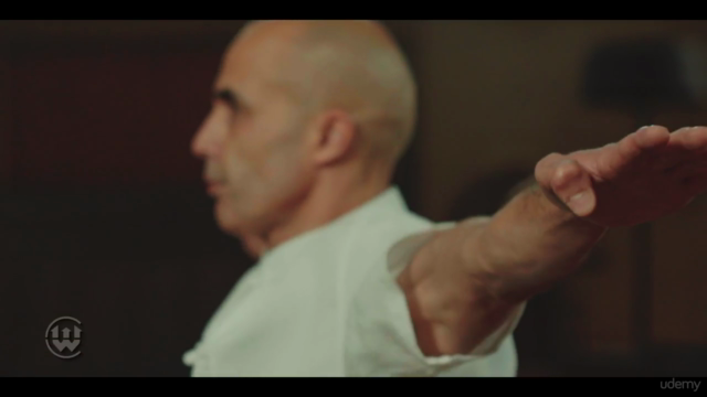 Wing Chun, Si Lim Tao, with Ahmed Chaatouf – Screenshot 1