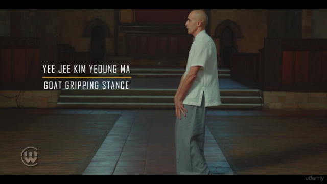 Wing Chun, Si Lim Tao, with Ahmed Chaatouf – Screenshot 3