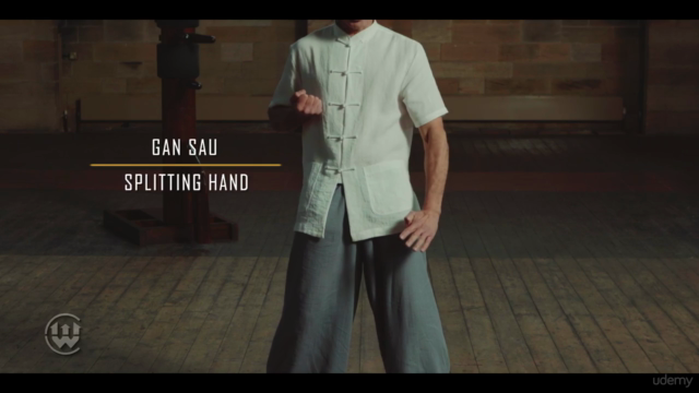 Wing Chun, Si Lim Tao, with Ahmed Chaatouf – Screenshot 4