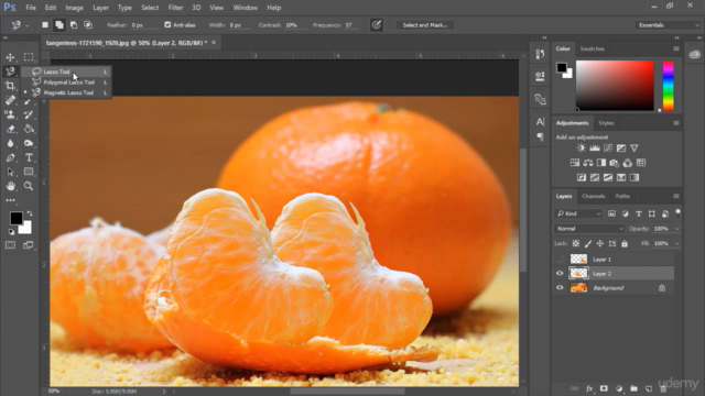 Photoshop CC 2019 for Beginners: Master Photoshop Essentials – Screenshot 1