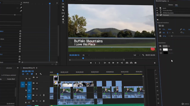 The Complete Adobe Premiere Pro Video Editing Bootcamp - Screenshot_02
