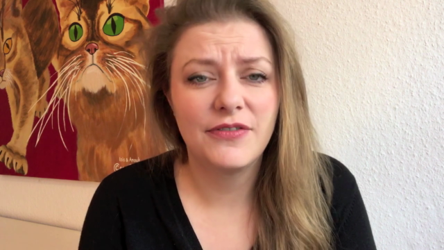 Katzenhaltung "Starterpaket" – Screenshot 1