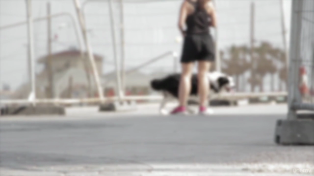 Animal Psychology: Pets Behaviour - (FULLY ACCREDITED) – Screenshot 3
