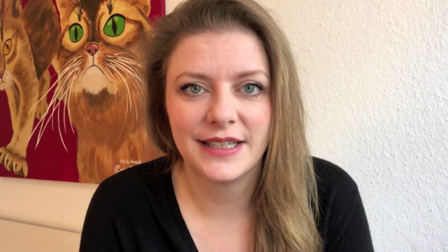 Crashkurs Katzenerziehung – Screenshot 1