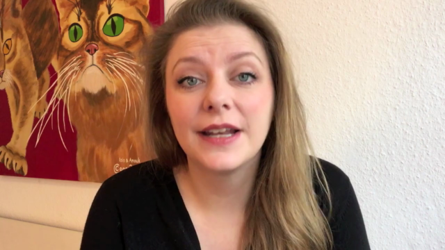 Crashkurs Katzenerziehung – Screenshot 2