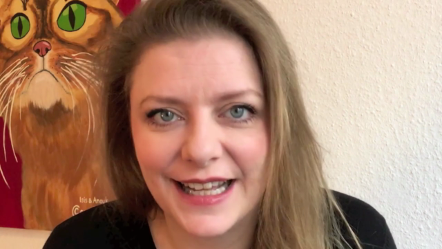 Crashkurs Katzenerziehung – Screenshot 3
