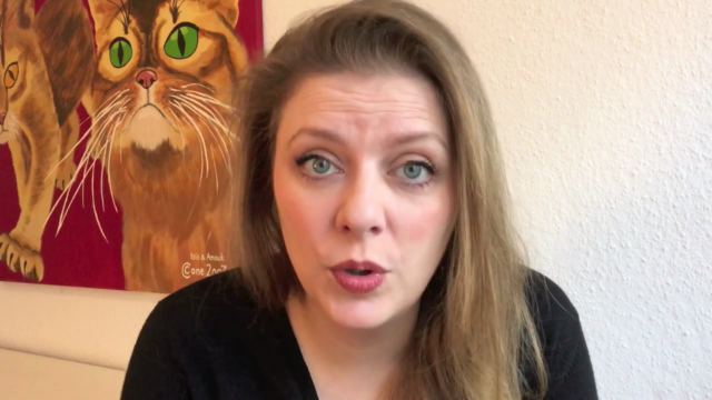 Crashkurs Katzen(fertig)futter – Screenshot 3