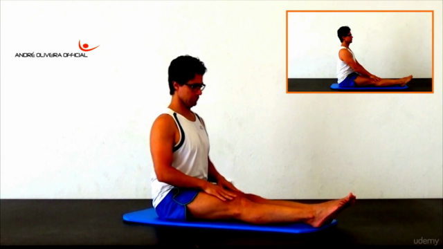 Guia de alongamentos e flexibilidade completo – Screenshot 3