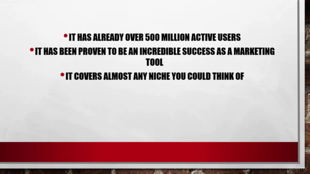 Instagram Marketing Crash Course for Entrepreneurs – Screenshot 2