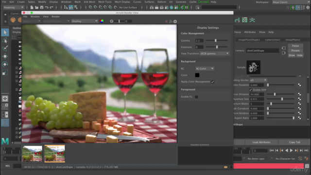 Maya 2017 - Create realistic images using Arnold renderer - Screenshot_03