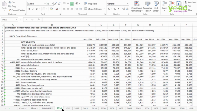 Create Advanced Excel Dashboard: Single Sheet Analytics – Screenshot 1
