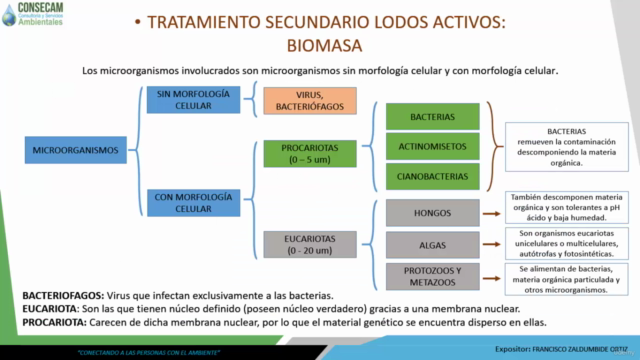 Tratamiento Biológico del Agua Residual con Lodos Activados - Screenshot_03