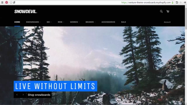 Advanced Shopify Course For Building a Professional Store – Screenshot 2