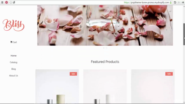 Advanced Shopify Course For Building a Professional Store – Screenshot 3