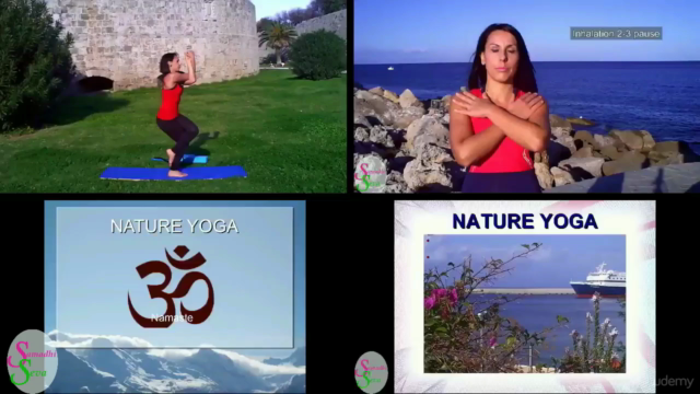 Hatha & Vinyasa Flow Yoga for Beginners! Green Yoga - Screenshot_02